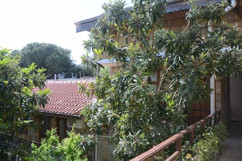 Antonios Motel Side Luaran gambar